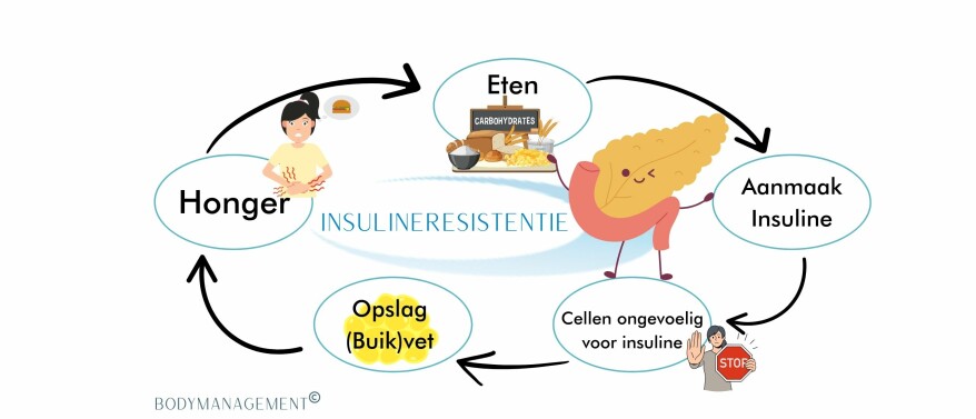 DE STILLE DIKMAKER