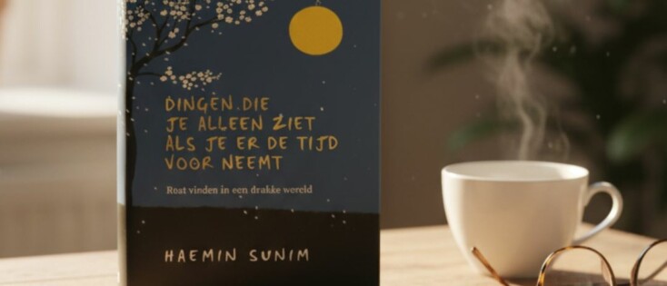 Dingen die je alleen ziet als je er de tijd voor neemt - Haemin Sunim