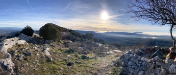 Frustratie als elder