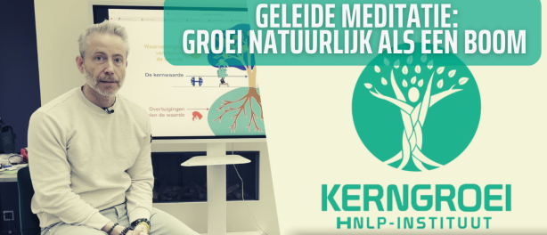 Geleide meditatie: groei natuurlijk als een boom