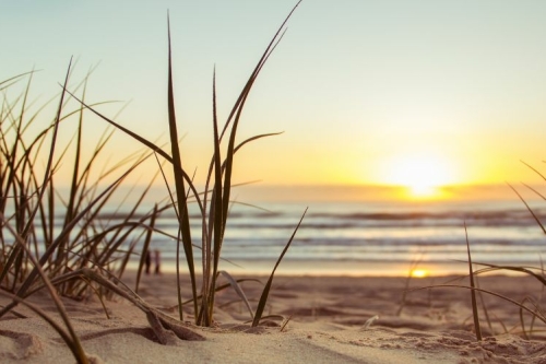 Beach Date: Where Love Meets the Horizon sunset