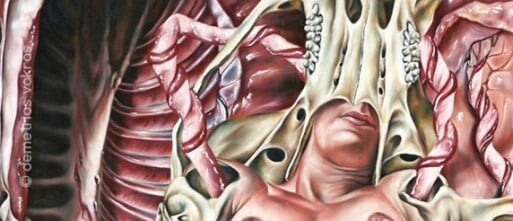 Between Flesh And Bones: The Grotesque Eroticism In Demetrios Vakras Work