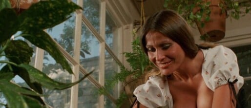Obsessed With Breasts: The Cinema of Russ Meyer