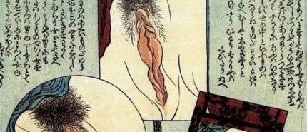Mirrors In Shunga