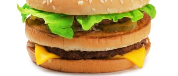 Een big-Mac versus Budgetvoer | waarom goede hondenbrokken waard zijn om in te investeren!