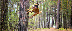 Tarzan af!