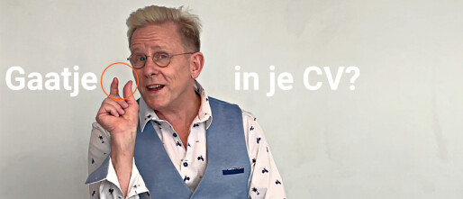 Lief, klein, schattig gaatje in je CV?