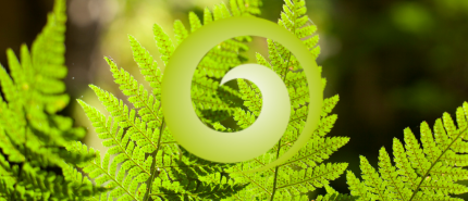 Waar lekt jouw energie weg in je werk?