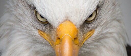 Laserfocus is de nieuwe strategische valuta