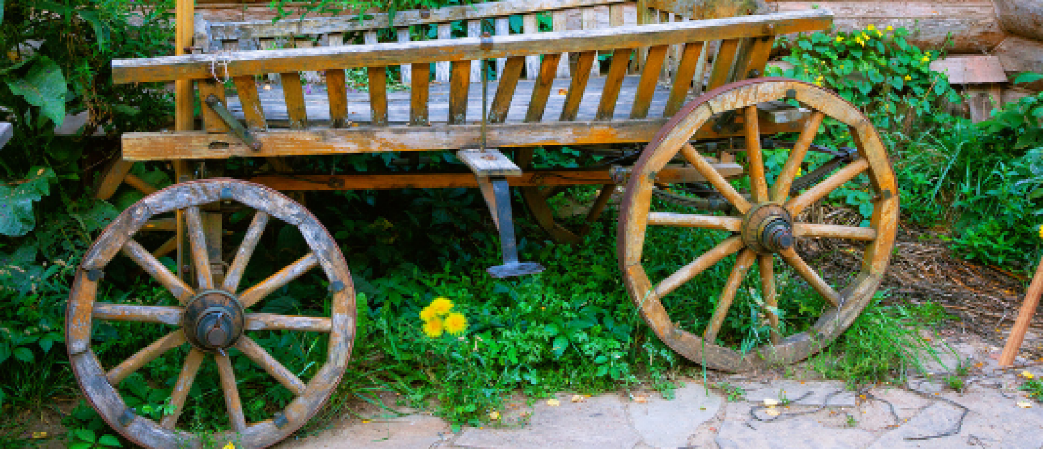 Recht op zelfbeschikking