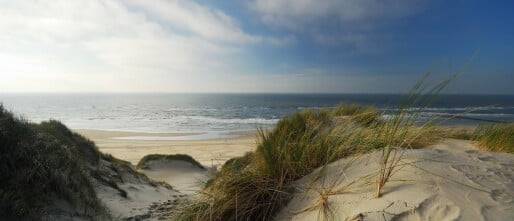 Laatste Kans Kundalini Green Retreat