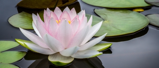Kundalini Yoga: Oorsprong en Bouwstenen