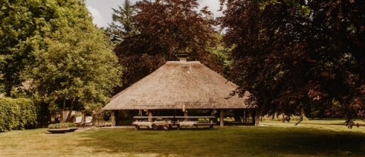 Ontspannen op de Veluwe: B&B Mollenvlied