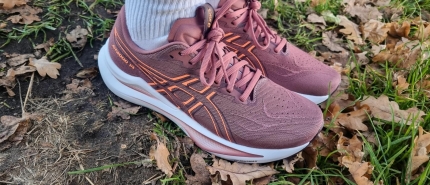 Mijn road to 1/8 crosstriathlon als beginner