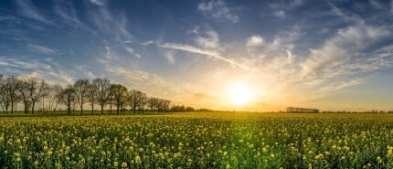 Ontdek de Snelweg van Spirituele Groei: Jouw Uitnodiging voor een Exclusieve Eendaagse Retraite!