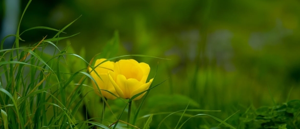 Waarom emotionele blokkades jouw zakelijke doorbraak in de weg staan
