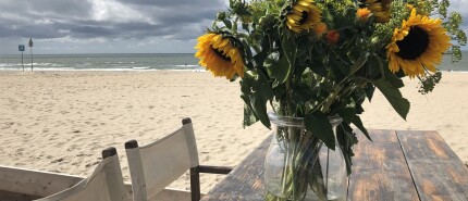 Een idee kun je teruggeven, met een bos bloemen