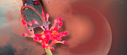 Trend (2) | Van vertellen naar beleven: de opkomst van Storyliving