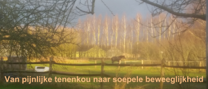 Van pijnlijke tenenkou naar soepele beweeglijkheid