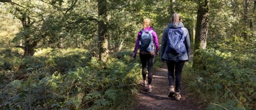 Wandelen en een hallux valgus