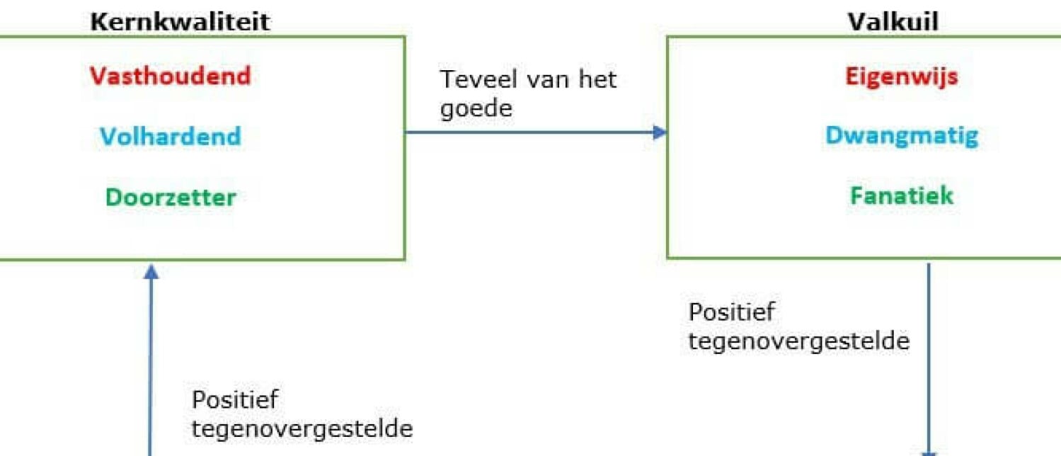 Talentblog 2 - Onderscheidend vermogen