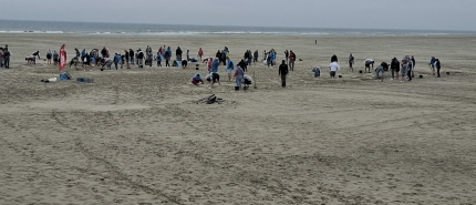 Mega logo op Terschelling