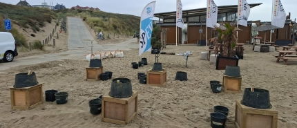 familiedag Noordwijk