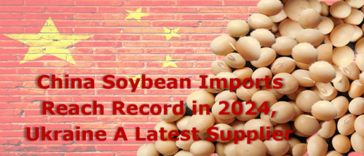 China soybean imports reach record in 2024, Ukraine as latest supplier