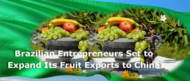 Brazilian entrepreneurs set to expand its fruit exports to China