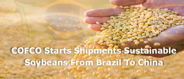 COFCO starts shipments sustainable soybeans from Brazil to China