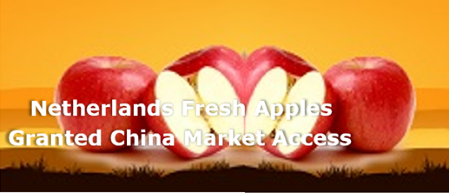 Netherlands fresh apples granted China market access