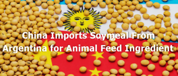 China imports soymeal from Argentina for animal feed ingredient