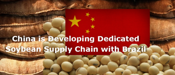 China is developing dedicated soybean supply chain with Brazil