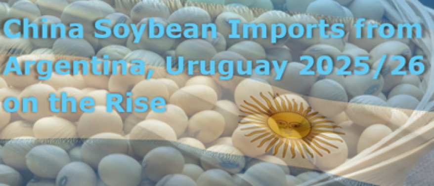 China soybean imports from Argentina, Uruguay 2025/26  on the rise