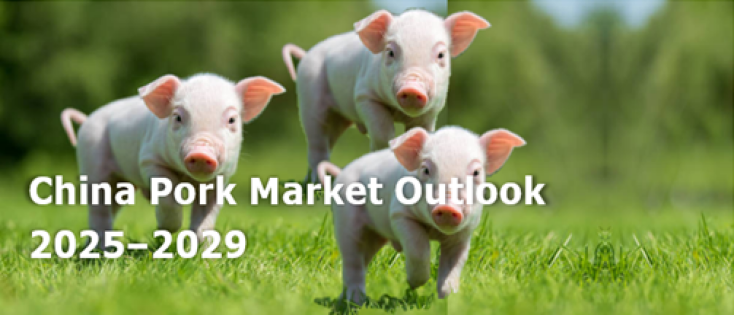 China Pork Market Outlook 2025–2029