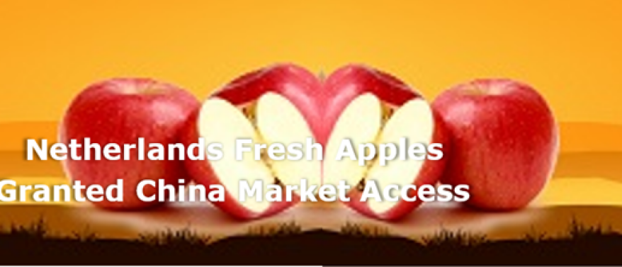 Netherlands fresh apples granted China market access