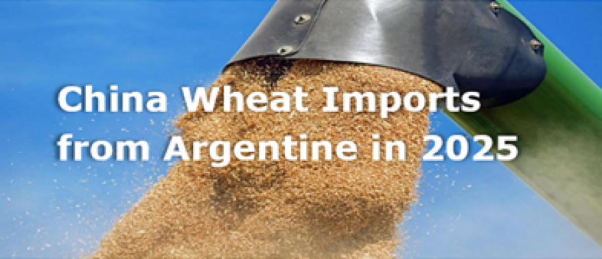 China wheat imports from Argentine in 2025