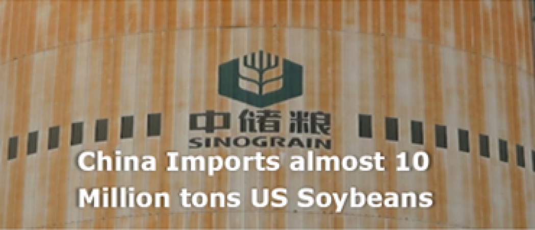 China imports 10 million tons US soybeans as of January 2026