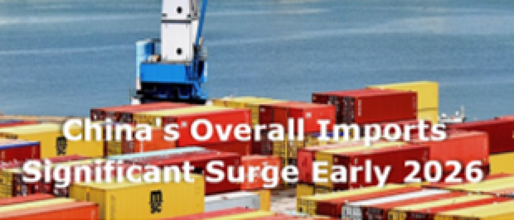 Chinas overall imports experienced significant surge in early 2026