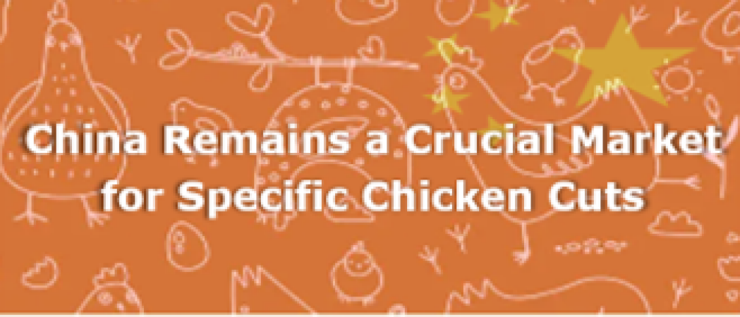 China remains a crucial destination for specific chicken cuts