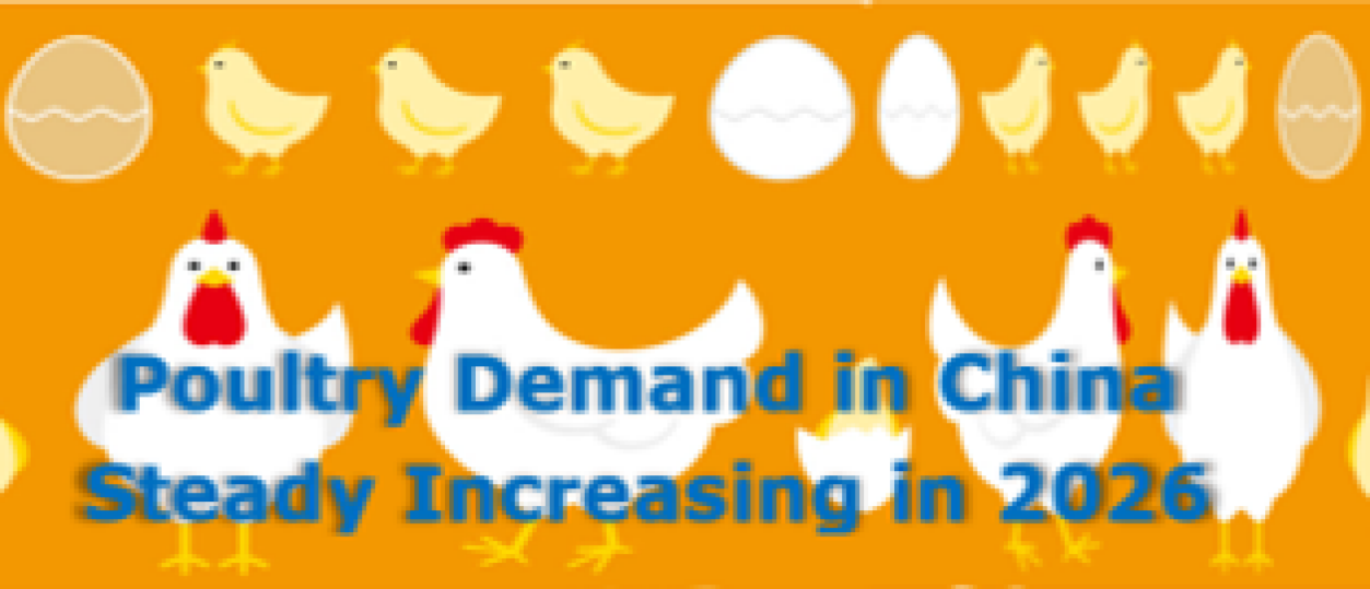 Poultry demand in China steady increasing in 2026