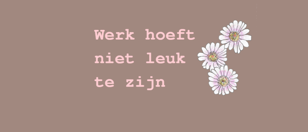 Werk hoeft niet leuk te zijn