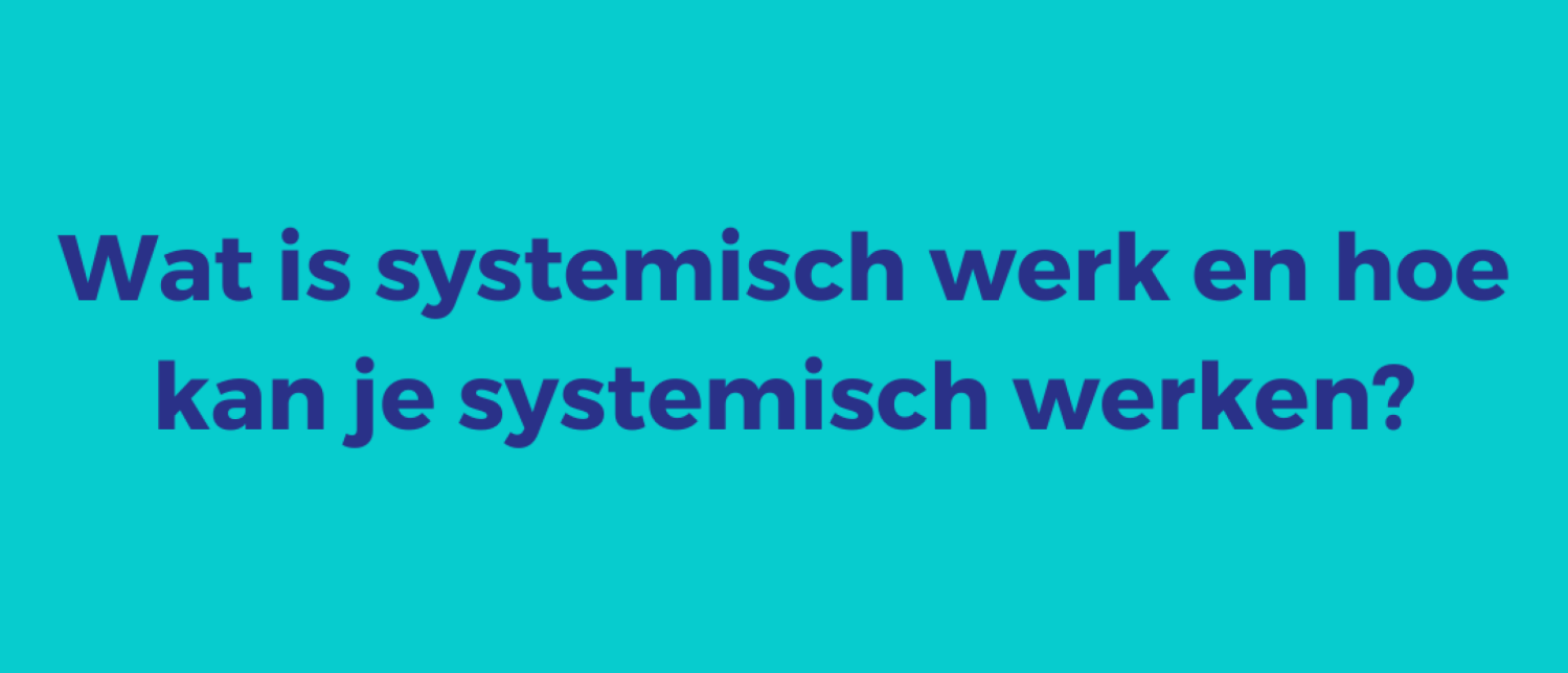 Wat is systemisch werk en hoe kan je systemisch werken?