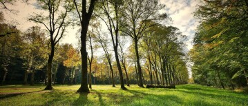 Wij een Leercase, jij een participatieaanpak