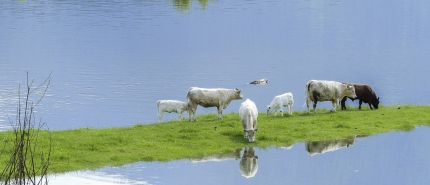 Water vraagt om participatie