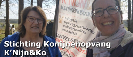 Op bezoek bij.... Stichting Konijnenopvang KNijn en Ko
