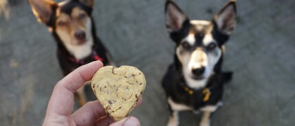 Doen voor je hond: Valentijnskoekjes