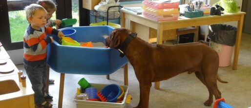 Welke leerplandoelen bereik je met een schoolhond?