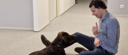 Fiscus de onstuimige Labrador wordt Kantoorhond