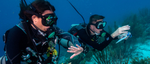 Duikcomputer kopen? Waar let je op